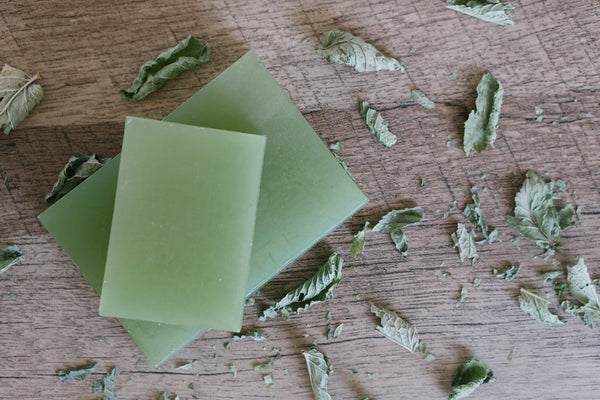 Spearmint Hemp