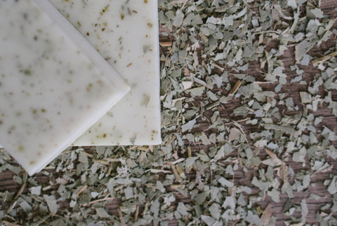 Eucalyptus Mint